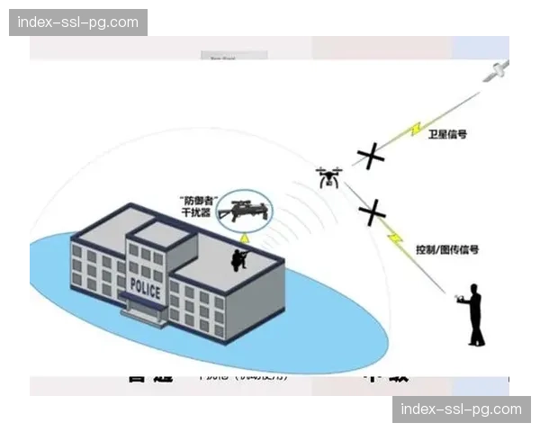 公共信号制作融入个性化剪辑元素 满足多元化内容消费需求